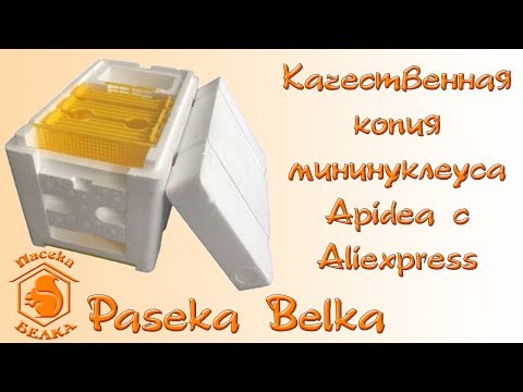 Видео: Качественная копия Швейцарского мининуклеуса Apidea с Китая Aliexpress