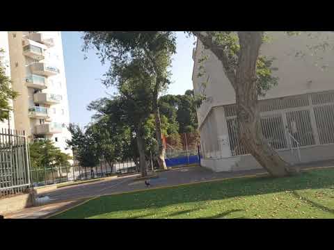 Видео: какой менталитет у евреев