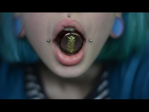 Видео: МОЯ КОЛЛЕКЦИЯ ПЛАГ И ТОННЕЛЕЙ