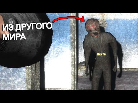 Видео: Мутанты из другого мира. STALKER Зимняя Сказка