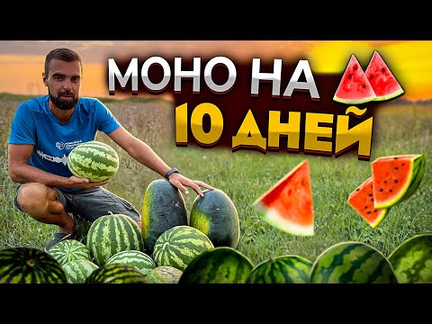 Видео: Фрукторианство | Сыроедение | 10 дней на арбузах. Монопитание