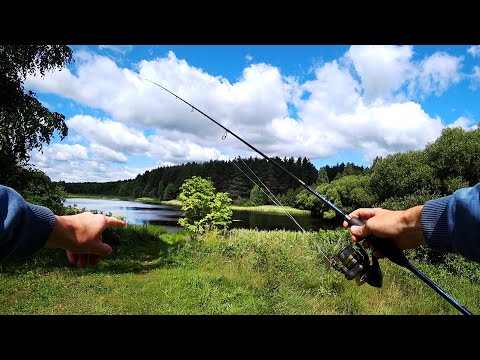 Видео: Дикое ЛЕСНОЕ ОЗЕРО переполнено ЩУКОЙ. Рыбалка на спиннинг 2022