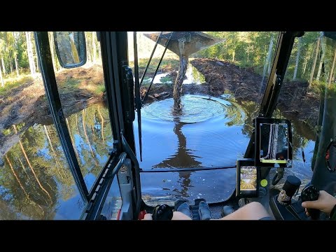 Видео: Интересная лесная дорога - Часть 4