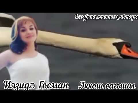 Видео: Илзидә Госман-Аккош сагышы