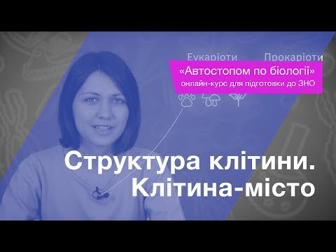 Видео: Структура клітини. Клітина-місто – Підготовка до ЗНО – Біологія