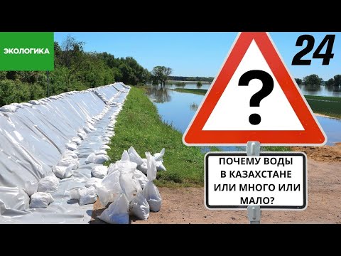 Видео: Наводнения – проблема рукотворная: возможно ли управлять водными ресурсами эффективно? | Экологика