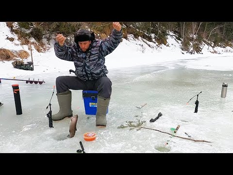 Видео: ГОРНАЯ РЫБАЛКА. Хариус проголодался. Ловля хариуса зимой. Русская рыбалка.