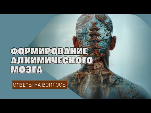 Видео: Цзе Кун. Формирование алхимического мозга. Ответы на вопросы