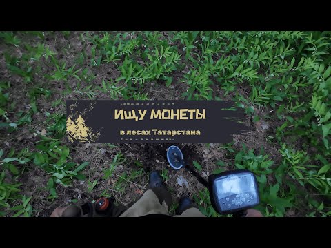 Видео: В лесах Татарстана