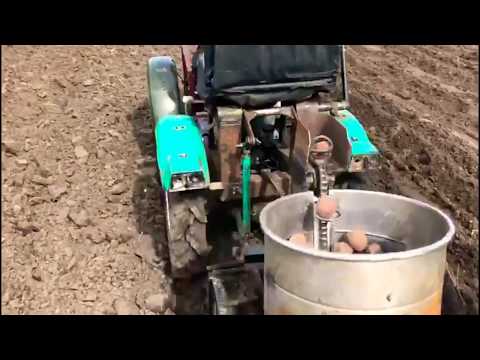 Видео: Посадка картофеля самодельной картофелесажалкой.