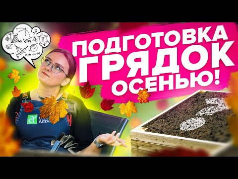 Видео: ЧТО ВНЕСТИ В ГРЯДКИ С ОСЕНИ?