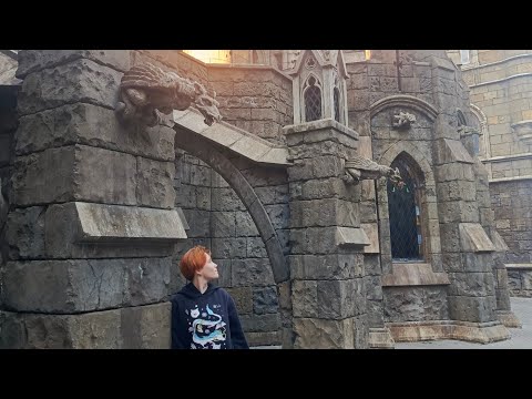 Видео: Зоопарк, ночной Кремль и замок Гарибальди