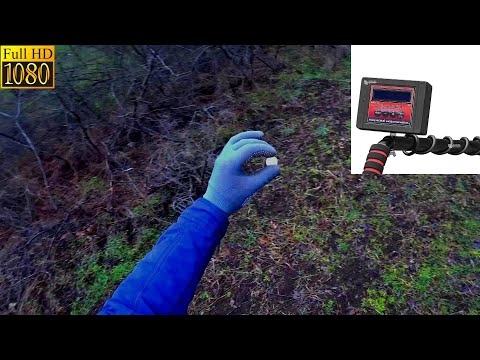 Видео: День не зря прожит. Металлоискатель Клон пи авр (Clone Pi Avr). ЧЕРМЕТ. Коп в лесополосе.