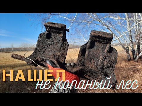 Видео: УДАЧА! НАШЁЛ НЕ КОПАННЫЙ ЛЕС В ПОЛЕ