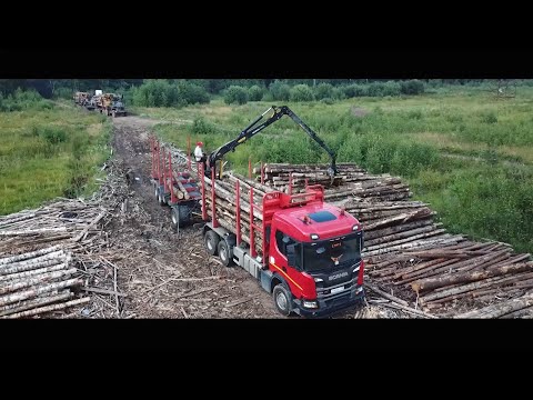 Видео: Чем меня удивили специальные грузовики для перевозки леса?