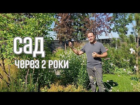 Видео: ЛАНДШАФТНИЙ ДИЗАЙН | САД ЧЕРЕЗ ДВА РОКИ