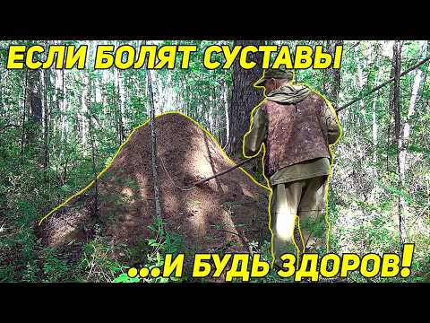Видео: Древний Рецепт: если болят суставы