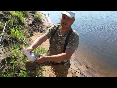 Видео: Незапланированный выезд на Оку ради встречи с другом.