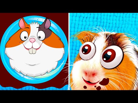 Видео: Логотип из шоколада от Бузи. Свинка Бузя Челлендж