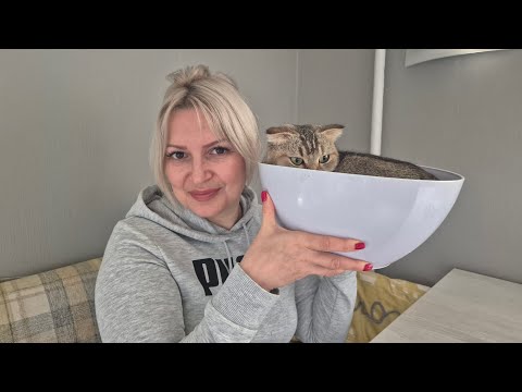 Видео: Вес беременной Шанель в 2 месяца 😊
