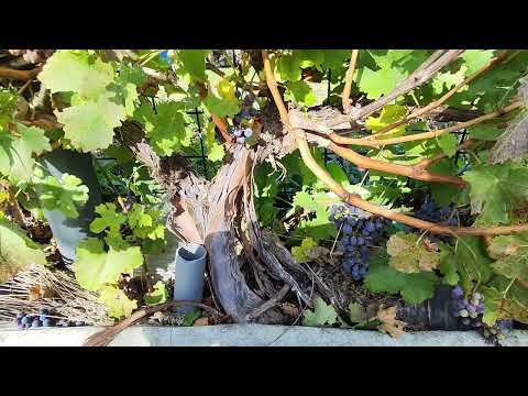 Видео: Конец сезона 2025 итоги 