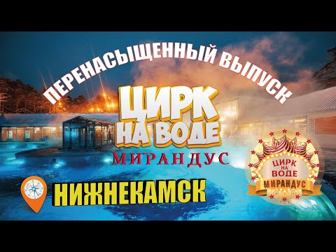 Видео: Гастроли в Нижнекамске! Цирк на воде Мирандус