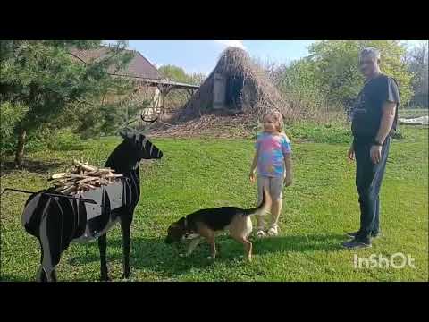 Видео: Не только работаем, но и отдыхаем.