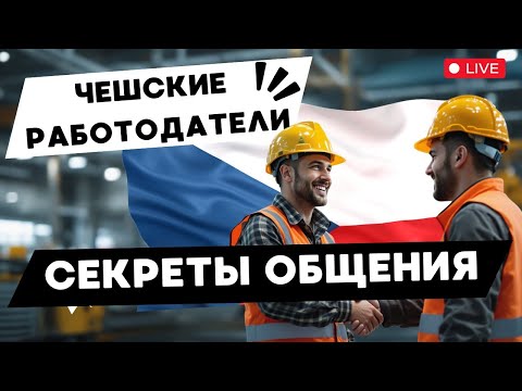 Видео: Как общаться с чешскими работодателями: главные ошибки и секреты успеха