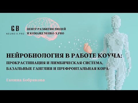 Видео: Нейронаука в коуч-сессиях: прокрастинация, лимбика, базальные ганглии, кора #нейробиология