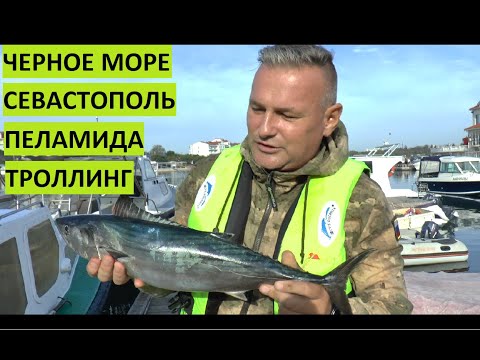 Видео: Рыбалка в Черном море. Пеламида. Троллинг. Севастополь