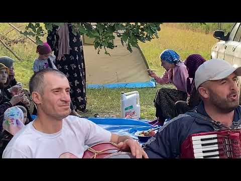 Видео: МУРАД и АБДУЛХАКИМ ГАДЖИЕВЫ братья КЕЛЕБ