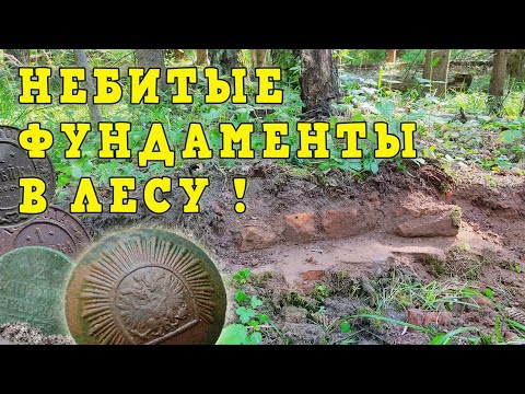 Видео: Небитые фундаменты в лесу! Лесной КОП.