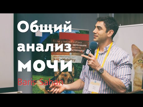 Видео: Общий анализ мочи