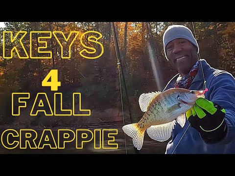 Видео: Как найти осеннего краппи | Советы и рекомендации | Места, снаряжение и методы