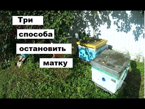 Видео: Три способа остановки матки