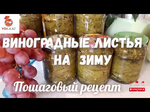 Видео: ВИНОГРАДНЫЕ ЛИСТЬЯ НА ЗИМУ. PRESERVE GRAPE LEAVES FOR THE WINTER. English subtitles.YARPAQ TUTMASI.