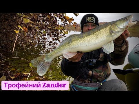 Видео: ТРОФЕЙНИЙ СУДАК НА СПІНІНГ|Flagman '24 Blackfire 73L