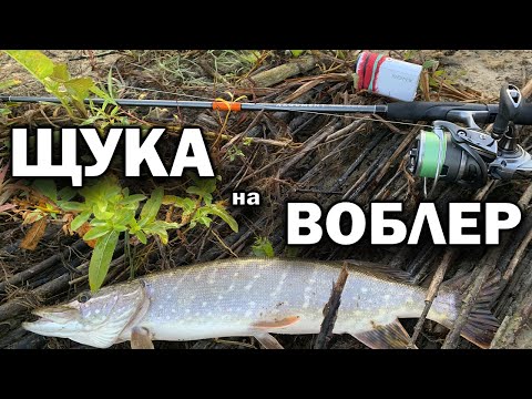 Видео: Рыбалка на ОКЕ с берега. Ловля ЩУКИ НА ВОБЛЕР