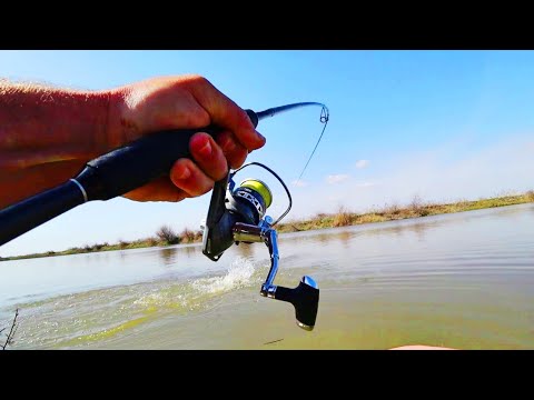 Видео: ЖОР В ЖАРУ/СУДАКИ АТАКУЮТ НОГИ пришлось ловить в трусах