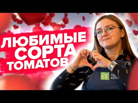 Видео: САМЫЕ ВКУСНЫЕ, УРОЖАЙНЫЕ И УСТОЙЧИВЫЕ ТОМАТЫ! Наши любимые сорта