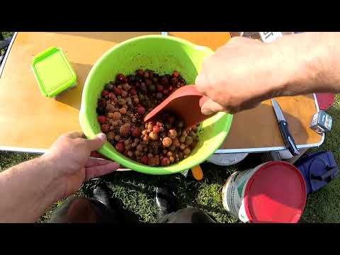 Видео: Рибалка на Закарпатті.о.Горбок