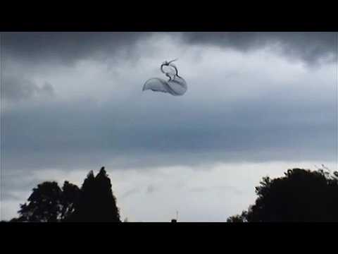 Видео: ОДИН СЛУЧАЙ НА МИЛЛИАРД: В воздухе засняли нечто интересное!