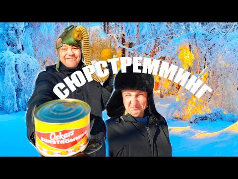 Видео: СЮРСТРЁММИНГ! SURSTROMMING!