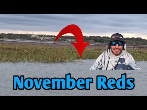 Видео: Ноябрьский окунь #рыбалканакаяках