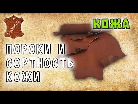 Видео: Пороки и сортность кожи. Defects and grades of the leather