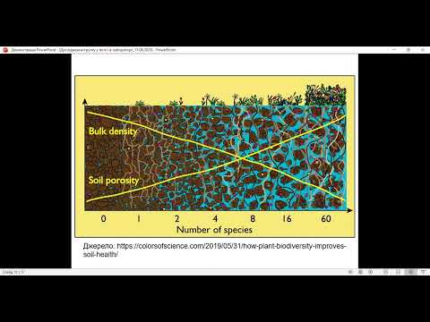 Видео: Дослідження ґрунту. Лекція студентам агрономічного факультету.
