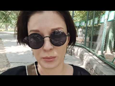 Видео: ЗООПАРК. Разговоры с Животными