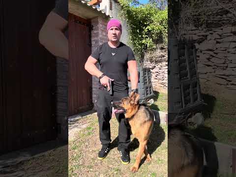 Видео: Концепцията 80/20 