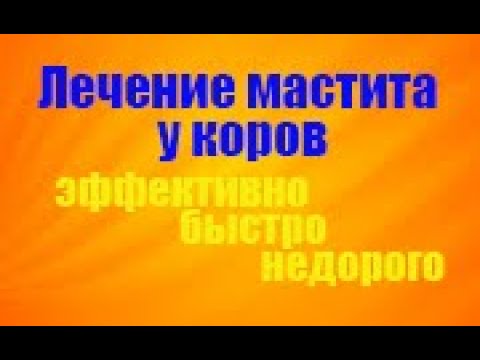 Видео: Как лечить субклинический мастит коров на ферме и в домашних условиях