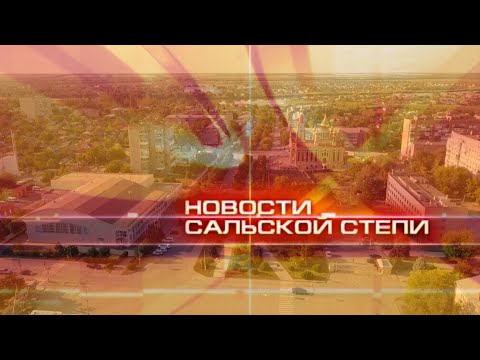 Видео: Новости Сальской Степи от 25.10.24